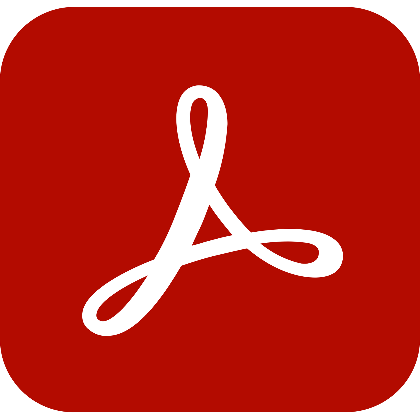 Acrobat Standard for enterprise